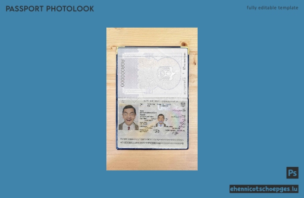 Beispielansicht eines Passfotos der VAE